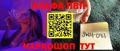 СК Новодвинск
