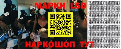 СК Новодвинск