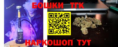 СК Новодвинск