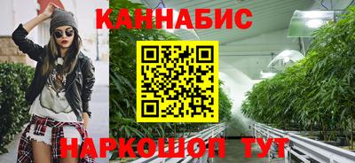 метадон Новозыбков