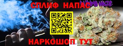 СК Новодвинск