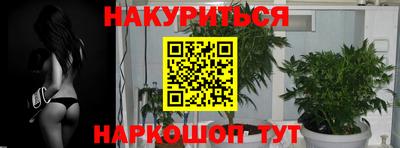 дживик Новокубанск