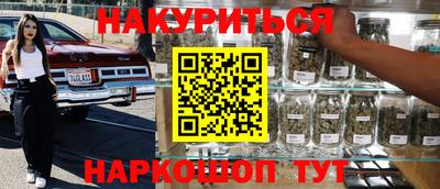 СК Новодвинск