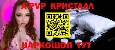 СК Новодвинск