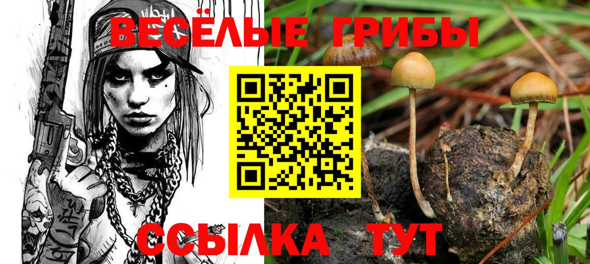 Псилоцибиновые грибы Psilocybine cubensis  Псилоцибиновые грибы ЛСД  Ступино  Вход с VPN 